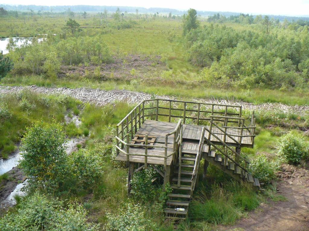 Centralna część rezerwatu Bielawa.
