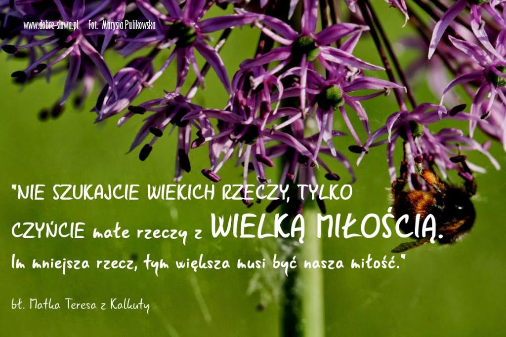 Okazuje się, że samo myślenie o śmierci umacnia naszą postawę wdzięczności wobec życia.