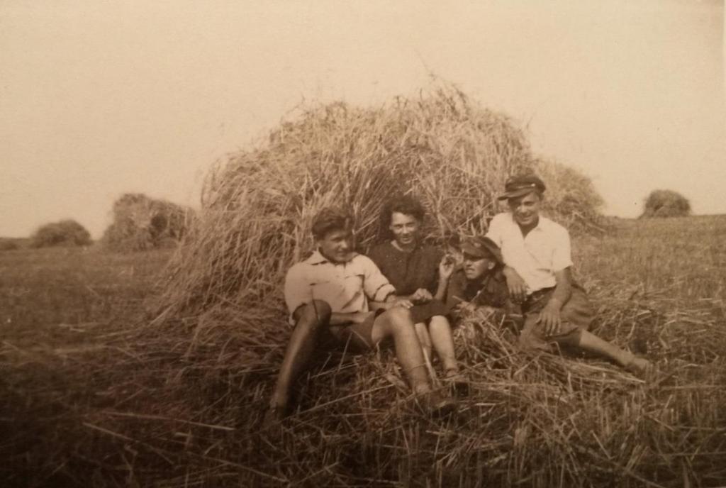 7 Zdjęcie 11 Rok 1939, 15 lipca. Siedlisko.