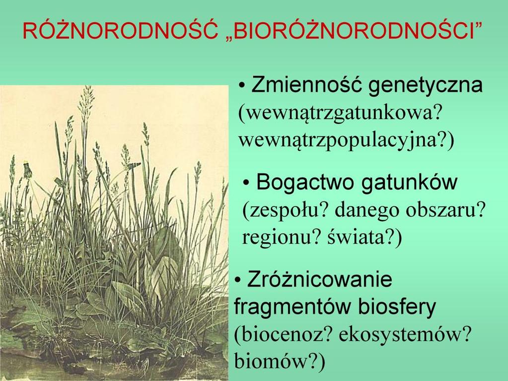 Samo pojęcie różnorodności biotycznej można odnieść do trzech poziomów organizacji życia: zmienności genetycznej w obrębie gatunku lub populacji, bogactwa gatunkowego i różnorodności zespołów