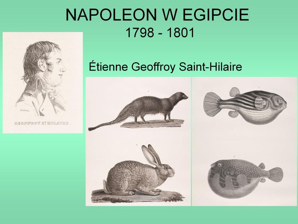 Uczestnikiem wyprawy Napoleona był Józef Sułkowski, tóry pozostawil po sobie pamiętnik. W wyprawie uczestniczył również francuski zoolog, Etienne Geoffroy Sain- Hilaire.