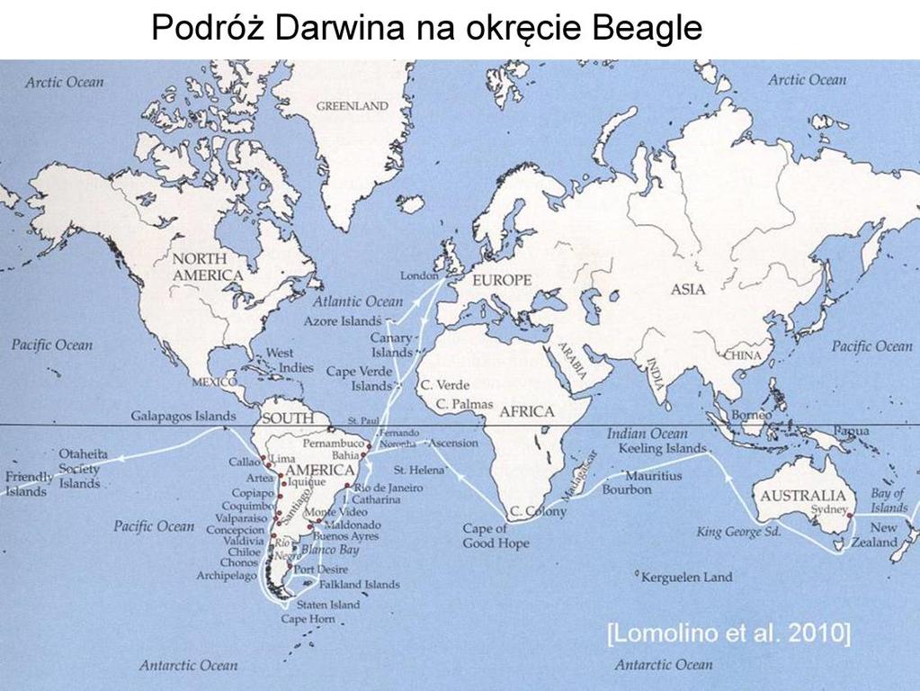 Darwin na okręcie Beagle odbył podróż dokoła świata, ale większość czasu spędził na lądzie, w czasie długich postojów, zwłaszcza w Ameryce Południowej i na wyspach Galapagos.
