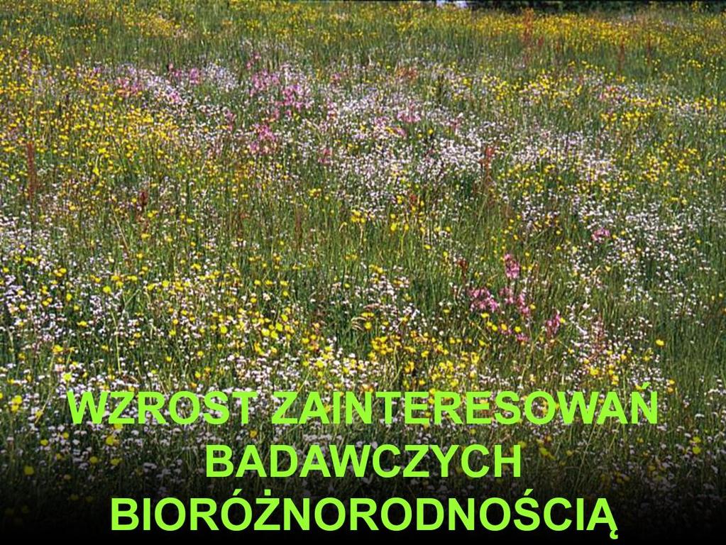 W ostatnim ćwierćwieczu ponownie wzrosło zainteresowanie bioróżnorodnością, bo zauważono, że jest to ważny aspekt życia na Ziemi, a przy tym zaniepokojono się