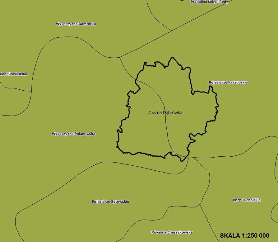 Według podziału na regiony fizyczno-geograficzne Kondrackiego (2002) Gmina Czarna Dąbrówka położona jest w Prowincji Niżu Środkowoeuropejskiego, na podprowincji Pojezierza Południowobałtyckiego, w