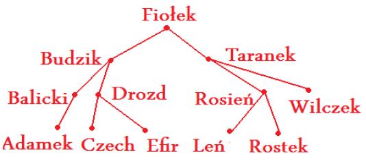 Drzewa BST Przykład W celu znalezienia rekordu klienta Rostek postępujemy następująco: Porównujemy nazwisko Rostek z nazwiskiem z korzenia, Fiołek.