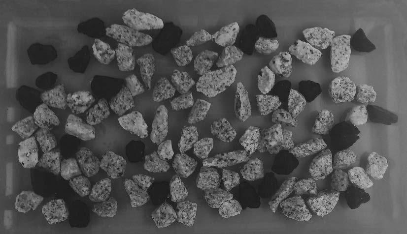 rysunek 5. Rys. 5. Próbka kruszywa granitowego zawierająca 25% ziaren otoczonych lepiszczem Każda z próbek miała łączną masę 150 g (±2 g).