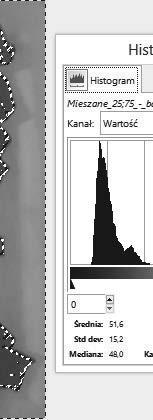 Liczba pikseli zaznaczonych przez narzędzie Różdżka dla ziaren kruszywa granitowego niepokrytego