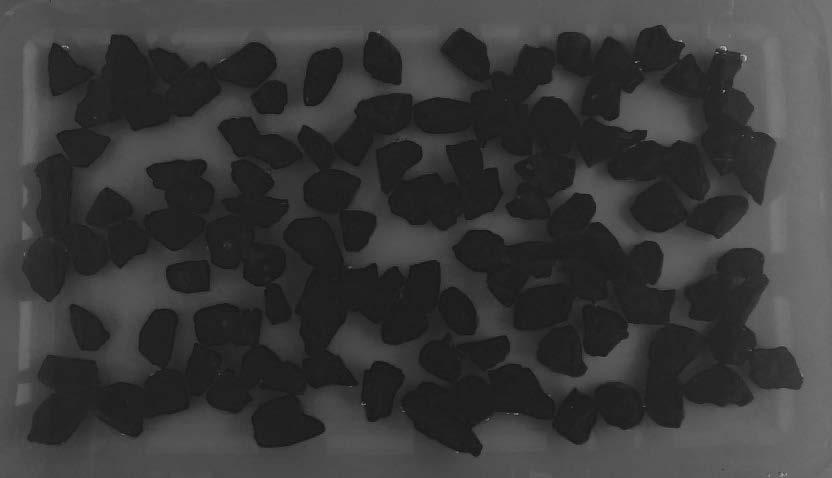 Ocena przyczepności asfaltu do kruszyw mineralnych 135 a) próbka kruszywa z bazaltu utlenionego zawierała 100% kruszywa otoczonego lepiszczem