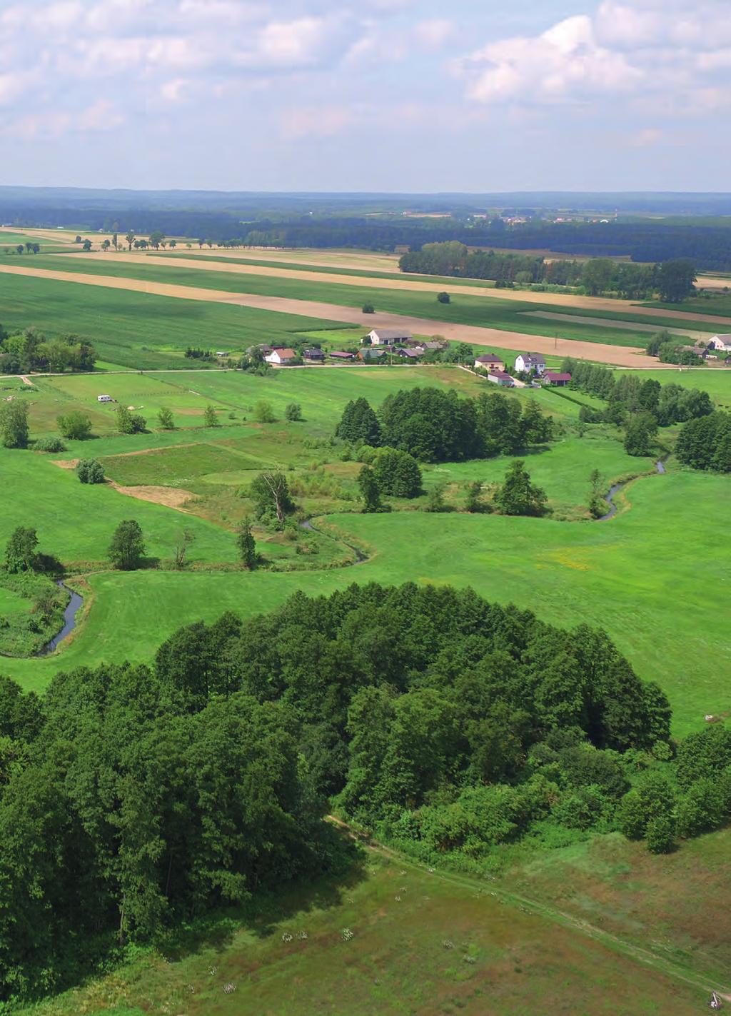 kurs Fotograficzny p r a w o do wykorzystania zdjęć nadesłanych przez uczestników Konkursu do umieszczania ich w publikacjach wydawanych przez Gminę Zambrów, podając imię i nazwisko autora.