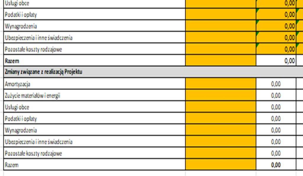 pewności prawidłowości poprawności prezentowanych danych należy zwrócić uwagę na tę część); Część dotycząca zmian związanych z realizacją Projektu powinna wyliczyć się automatycznie (i