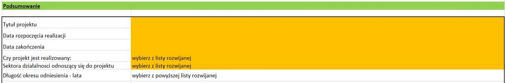 Widok Podsumowanie(1/2) Pierwsza część widoku Podsumowanie, w której powinny być umieszczone podstawowe informacje dotyczące Projektu.