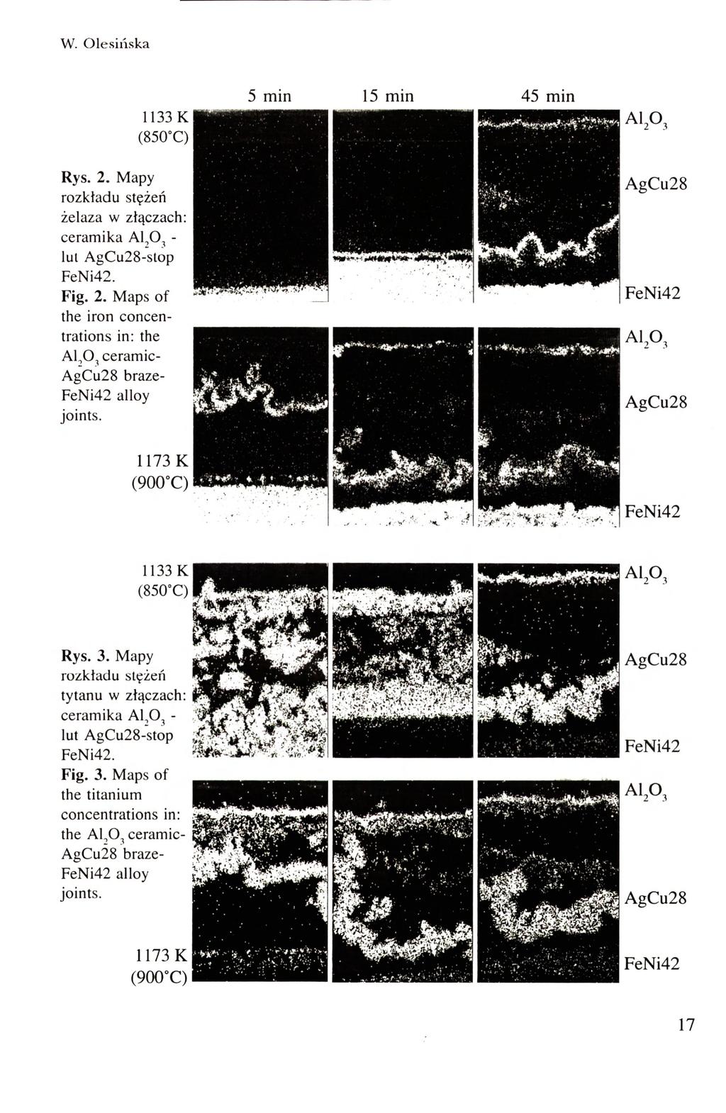 w. Olesińska 5 min 15 m i n 1133K 45 min AiP, Rys. 2. Mapy żelaza w złączach: ceramika A1,0, lut A g C u 2 8 - s t o p. Fig. 2. M a p s of the iron concentrations in: the A l, O j ceramica g C u 2 8 brazef e N i 4 2 alloy joints.