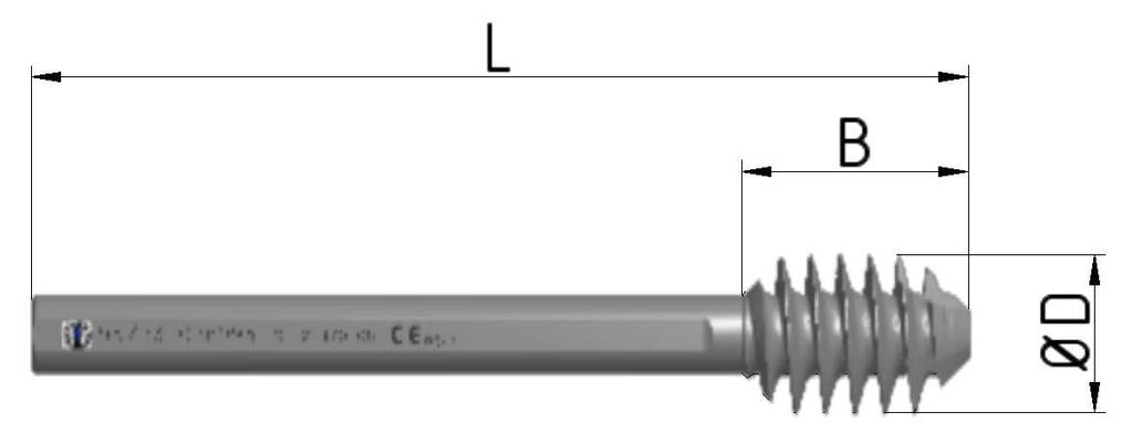 Śruba produkcji BHH MIKROMED posiada oryginalne wyfrezowania w przedniej i tylnej części gwintu, które zapewniają samogwintowanie przy wkręcaniu oraz zabezpieczają główkę kości udowej przed rotacją.