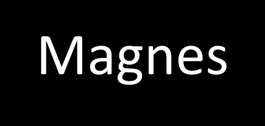 Magnes bardzo silne