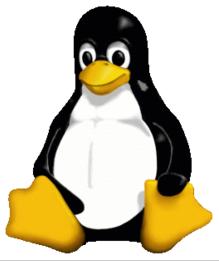 25+ systemu operacyjnego GNU/Linux
