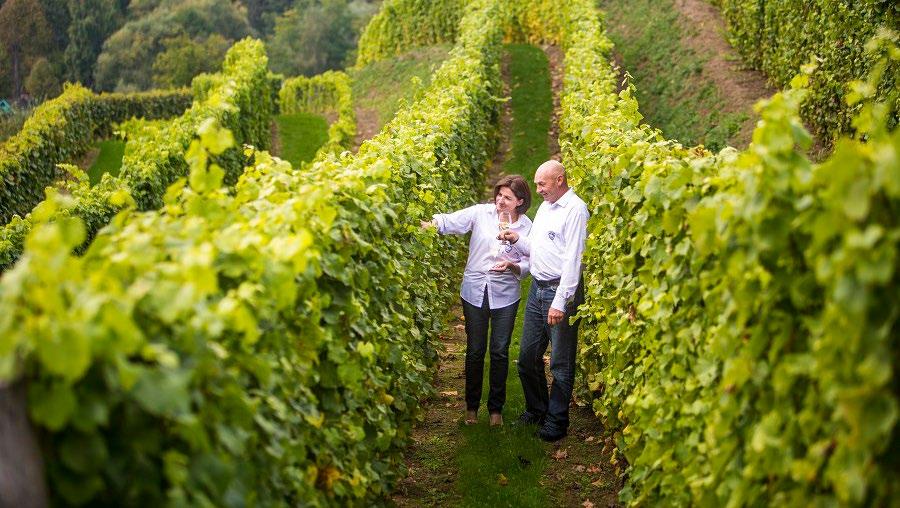 Winnica posiada unikatowy terroir, który zapewnia powstającym tu winom wyjątkową mineralność i skoncentrowaną aromatyczność.
