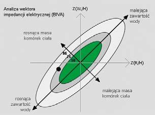 FM Masa tłuszczowa / beztłuszczowa Medycznie precyzyjne zróżnicowanie pomiędzy masą tłuszczową i beztłuszczową jest szczególnie ważne, kiedy