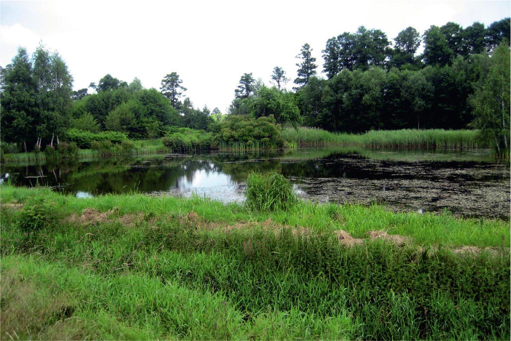 Stan hydromorfologiczny górnego odcinka rzeki Ner w świetle zastosowania metody River Habitat Survey (RHS) naturalnych elementów morfologicznych w obrębie brzegów i dna koryta.