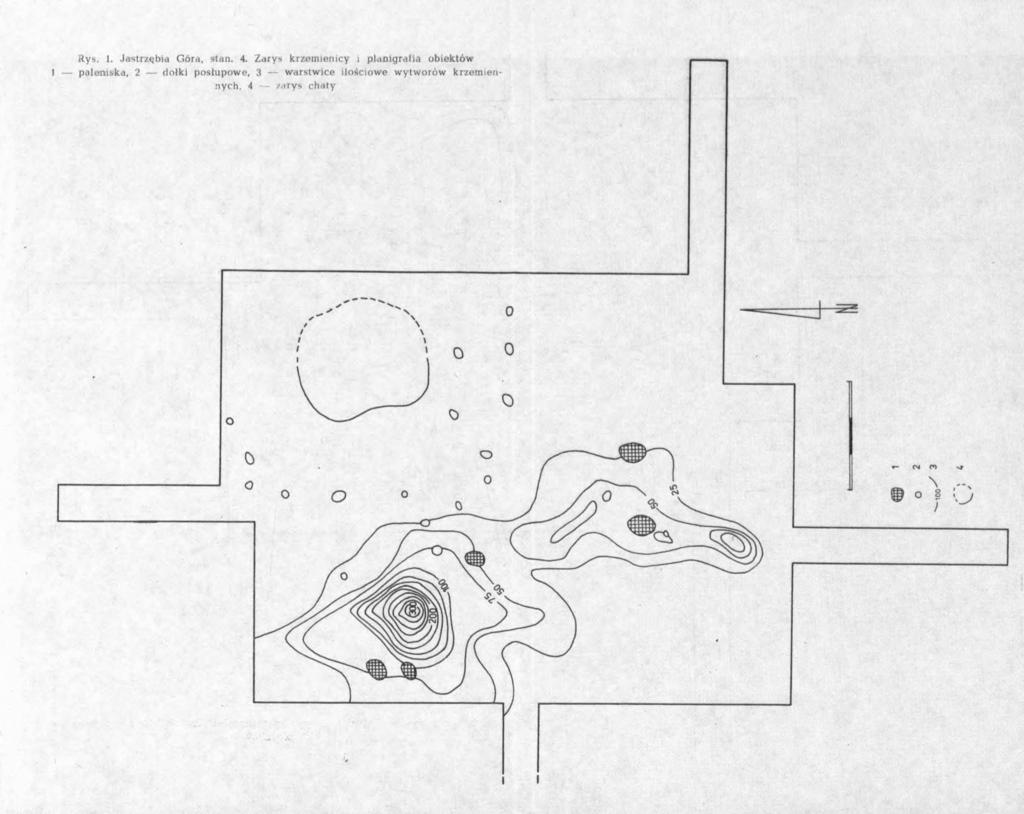 Rys. 1. Jastrzębia Góra, stan. 4.