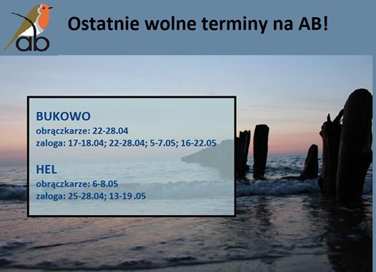 użytkowników 14 Lubię to! Komentarze Napisz komentarz.