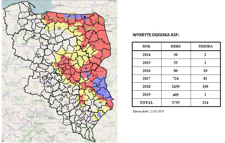 Afrykański Pomór Świń (ASF) Aktualna sytuacja w Polsce Mapa ognisk i przypadków ASF w Polsce oraz aktualny zasięg obszarów objętych restrykcjami Źródło: http://www.wetgiw.gov.