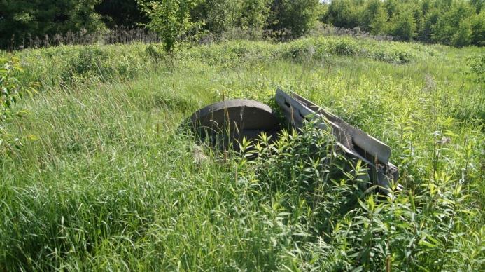Fauna Fauna Z uwagi na ubogość siedliskową oraz niską różnorodność florystyczną,