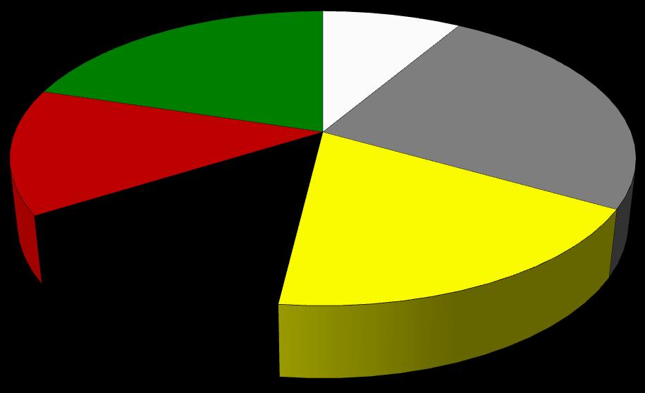 Region FADN 790 Wielkopolska i Śląsk. Część II. Analiza Wyników Standardowych 2.2. Wyniki Standardowe według klas wielkości ekonomicznej 2.2.1.