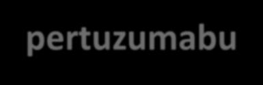 OS (%) Zestawienie wyników leczenia chorych na zaawansowanego raka piersi z nadmierną ekspresją HER2 100 90 80 70 60 50 40 30 20 10 0 od