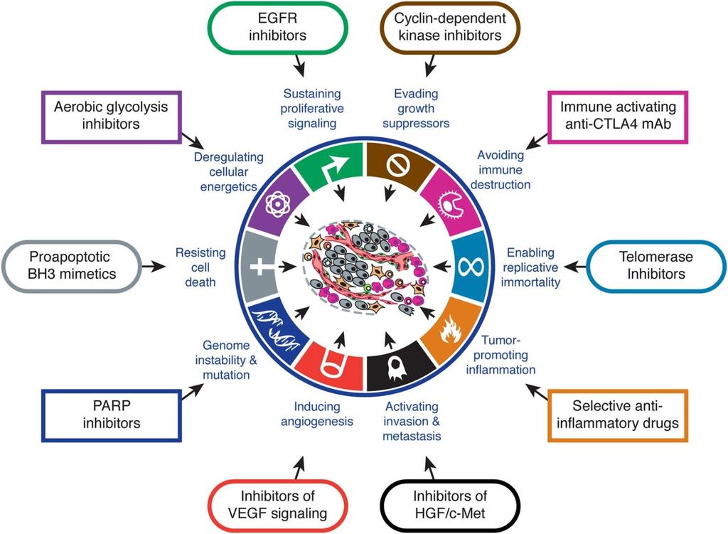 Cell 2011 144, 646-674DOI: