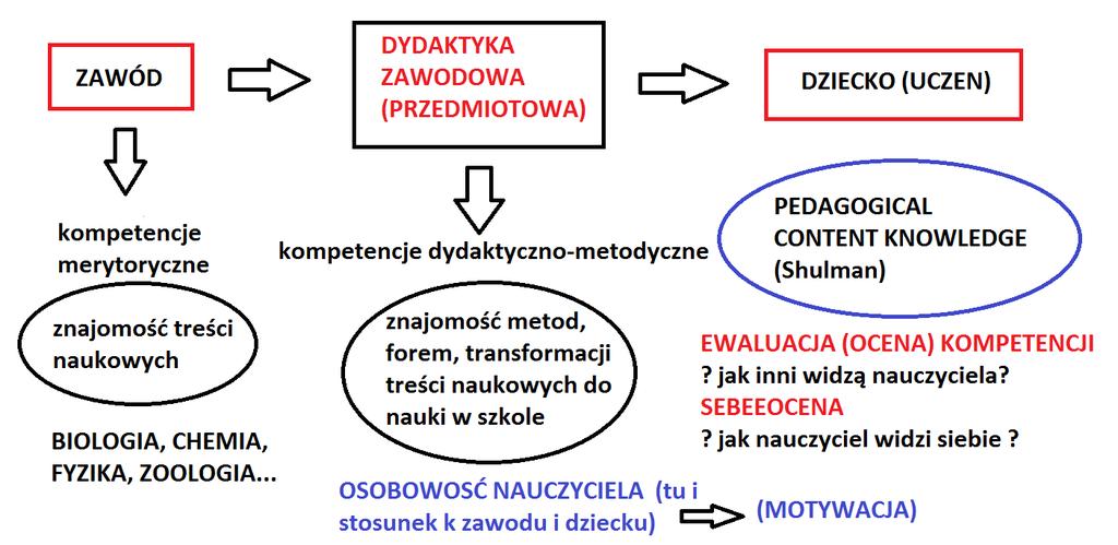 Krótki