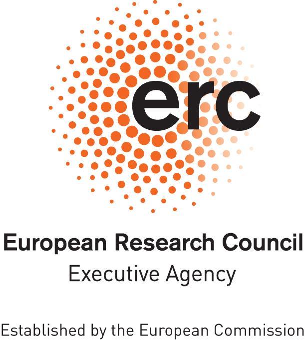 Europejska Rada Badań Naukowych (ERBN) Wzór umowy o udzielenie dotacji więcej niż jednemu beneficjentowi ERBN, Weryfikacja poprawności projektu (H2020 Wzór umowy o udzielenie