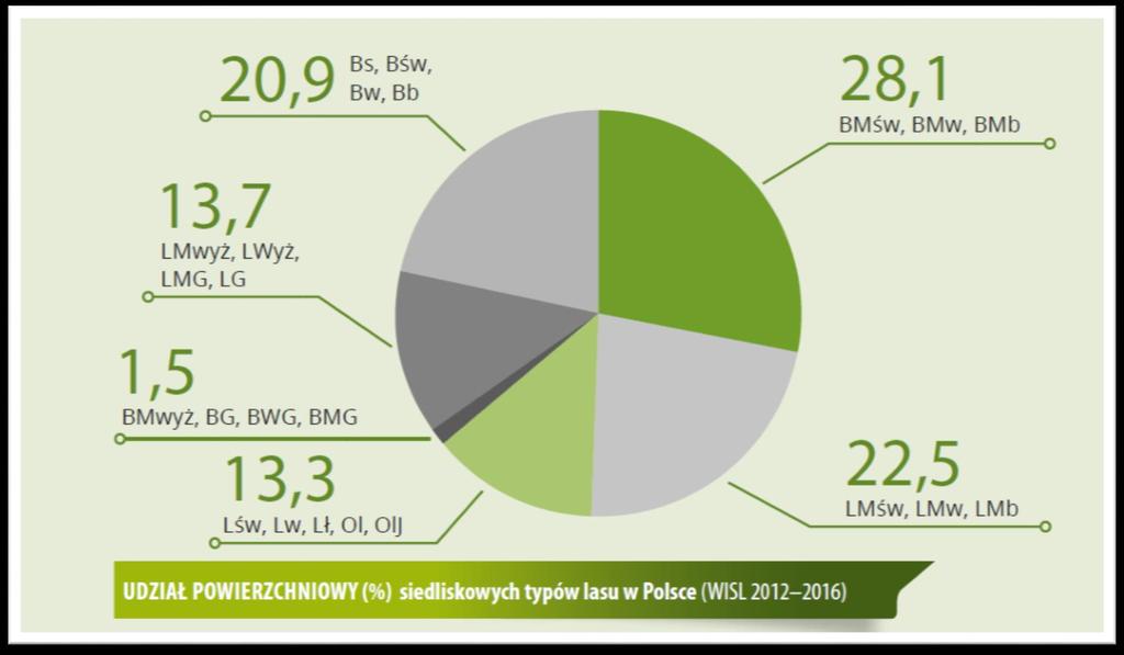 UDZIAŁ TYPÓW