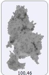 Tabela 2. Binarny obraz pojedynczych kłaczków osadu czynnego zarejestrowany za pomocą analizatora Morphologi G3 Parametr 7.01.2016 10.12.