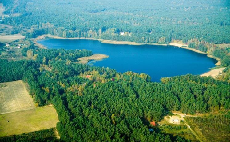 Sfera środowiskowa Walory przyrodnicze Osieka nad Wisłą wiążą się z jego położeniem w dużym kompleksie leśnym oraz znajdującym się na jego terenie jeziorem Osieckim, będącym