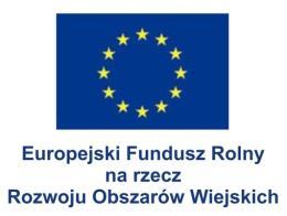 rozwoju lokalnego w ramach inicjatywy LEADER, poddziałanie 19.2 Wsparcie na wdrażanie operacji w ramach Strategii Rozwoju Lokalnego Kierowanego przez Społeczność, na Przedsięwzięcie: 1.1.4 Marketing gospodarczy regionu 2.