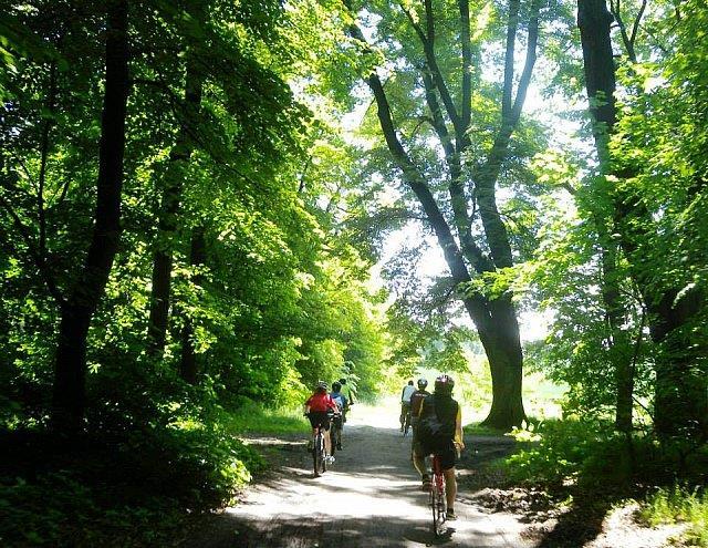 Walory przyrodnicze Bory Dolnośląskie obszar NATURA 2000; Park podworski Dąbrowa Bolesławiecka; Park podworski i pocmentarny