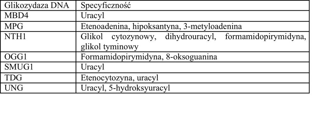 Glikozydazy przykłady (ssaki) Tabela jest