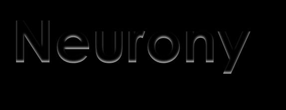 Neurony