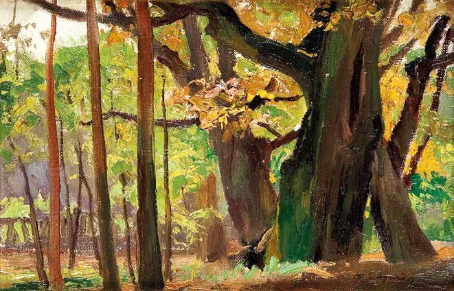 44 MICHAŁ GORSTKIN WYWIÓRSKI (1861-1926) Las w słońcu olej/płótno, karton, 20 x 31