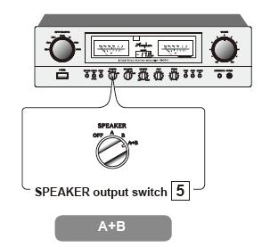 Połączenie Bi-wiring (połączenie dwu-kablowe) W ustawieniach Bi-wiring, użytkownik podłącza oddzielne przewody głośnikowe do niskich (bass) i wysokich (w tym średnich) przetworników na każdym