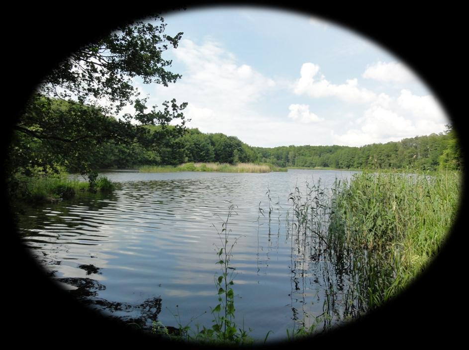Regionalny Zarząd Gospodarki Wodnej w