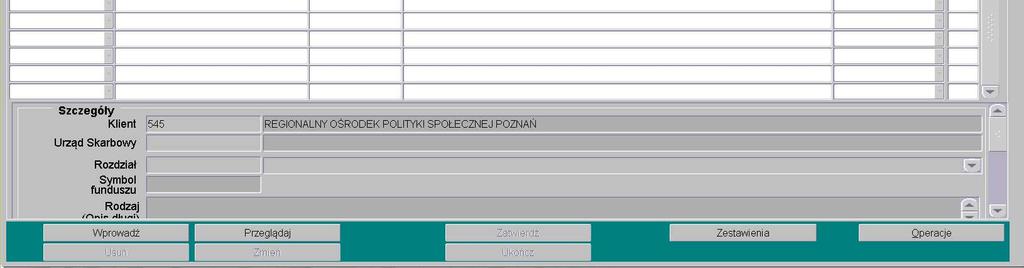 poszczególne kolumny sprawozdania, wprowadzając dane dotyczące klasyfikacji