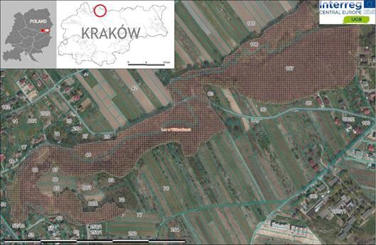 Inne wskaźniki, w tym wegetacja, potwierdzają reprezentatywność wybranego terenu dla całego Krakowa, jak również częściowo dla obszaru metropolitalnego(wymagane występowanie terenów zieleni).