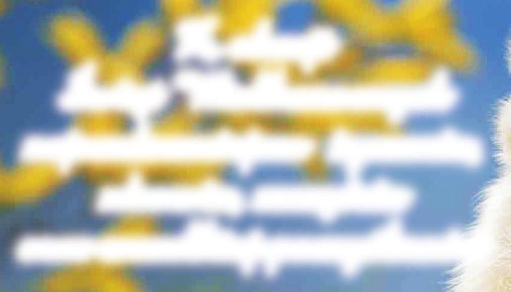 pracownicy Spółdzielni. D W U D Z I E S T O L E C I E S M K A R W I N Y W G D Y N I Dwadzieścia lat temu w dniu 31.01.1991r.