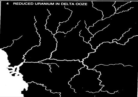 hydrokarbonatów- ropaorganizmy żywe) bogata ruda uranowa < 2 Ga Rejon