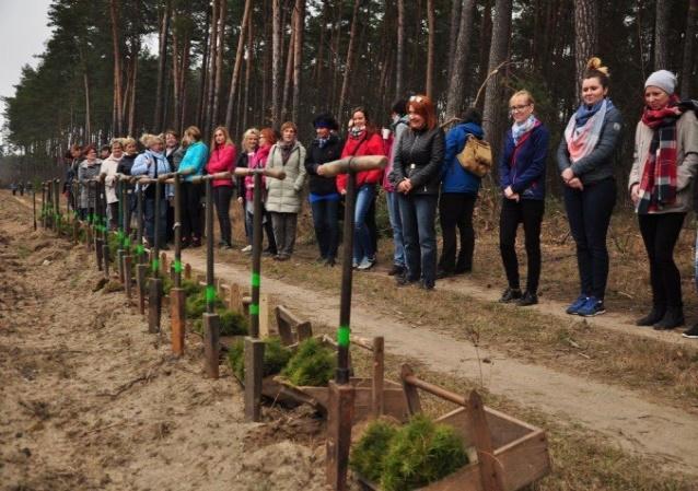 W roku szkolnym 2016/2017 do projektu przystąpiło 29 placówek oświatowych.