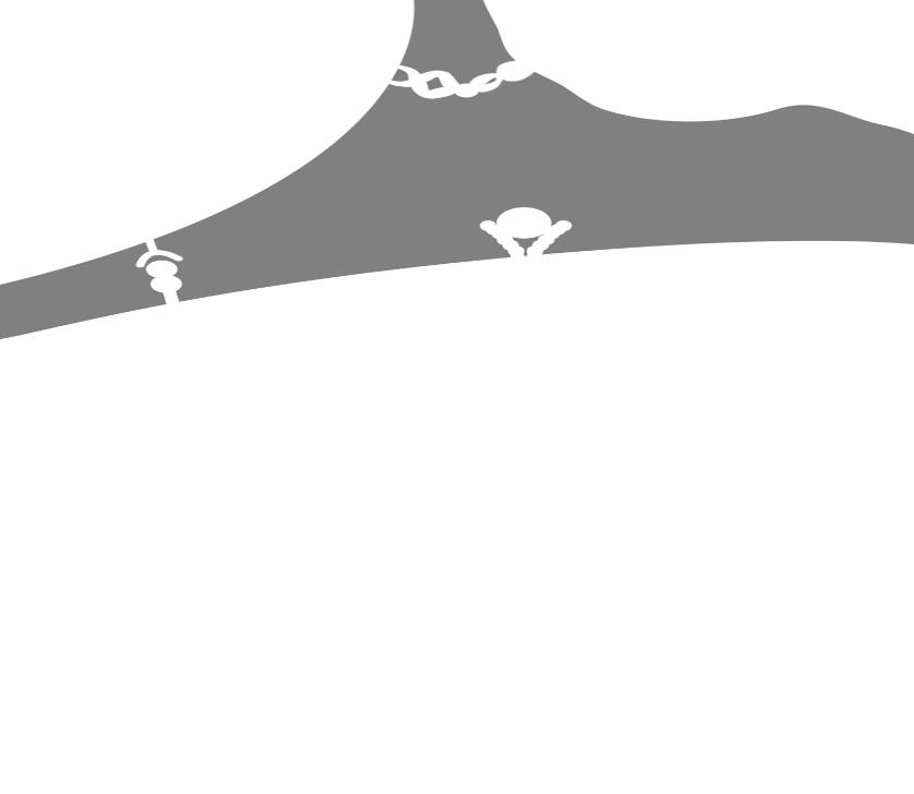 (major histocompatibility complex) główny układ zgodności tkankowej; mtor (mammalian target of rapamycin) ssaczy cel rapamycyny; PD-1 (programmed cell death protein 1) receptor