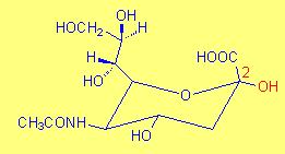 Gangliozydy Pochodne