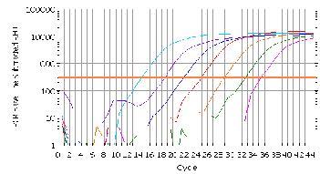 Wydajność reakcji PCR CT (threshold cycle)= CP (crossing point)= Cq (quantification cycle) 5000000 4500000 CT values: 23; 25; 28 4000000 3500000 3000000 2500000 2000000 23 1 25 0,25 28 1500000