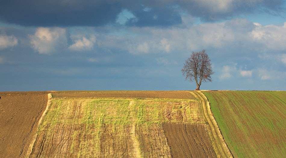 Światło naturalne może nam sprzyjać zwłaszcza przy niskich kątach padania.